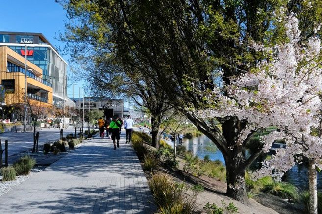 Christchurch local area