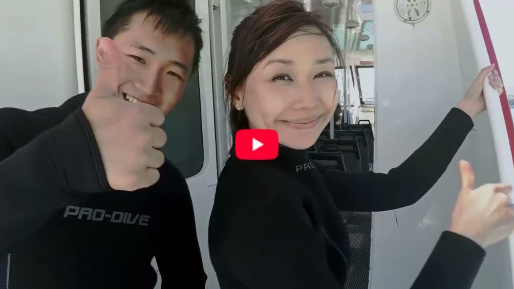 Play Video - Study and Play in Ōtautahi Christchurch